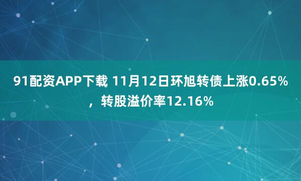 91配资APP下载 11月12日环旭转债上涨0.65%，转股溢价率12.16%