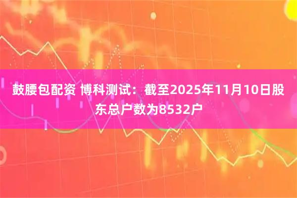 鼓腰包配资 博科测试：截至2025年11月10日股东总户数为8532户